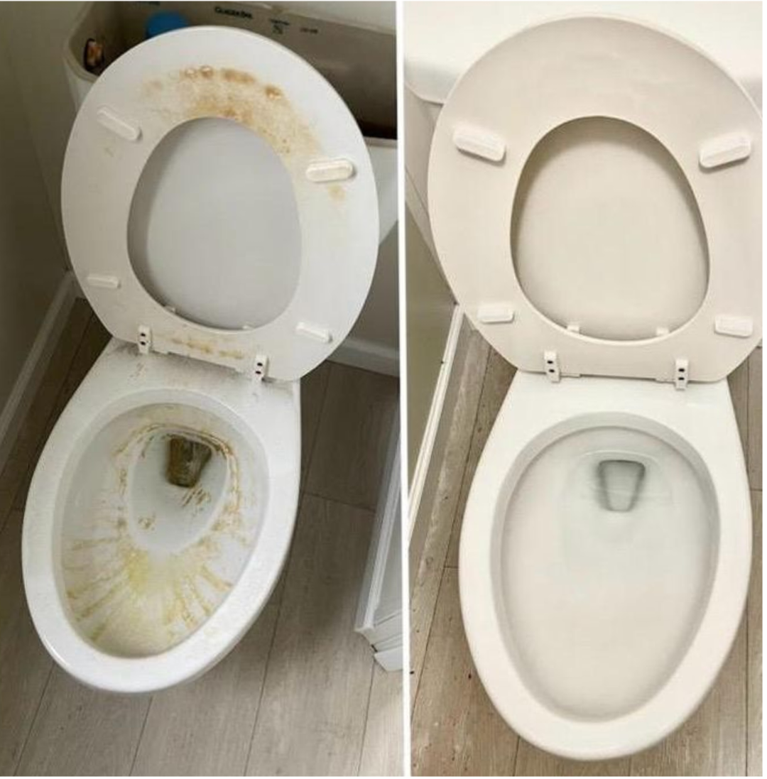 Toilet Seat